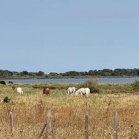 La Cigale De A 100 M De La Et Du Centre Du Grau Du Roi Apartmán