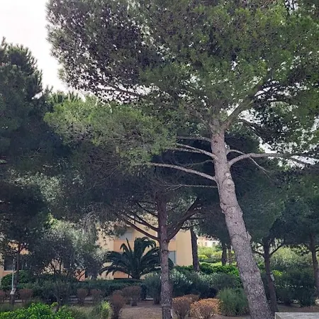 Cigale De 100 M From The And The Town Center Of Le Grau-du-Roi