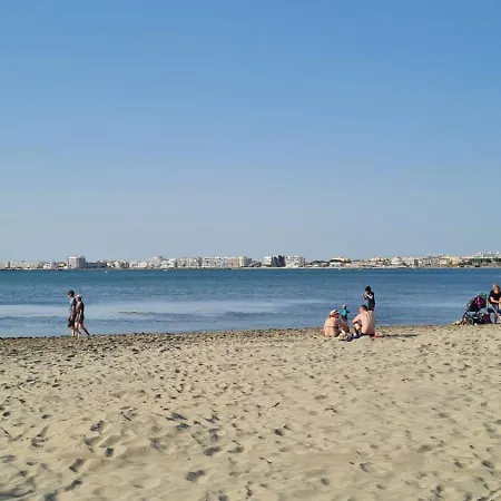 Cigale De 100 M From The And The Town Center Of